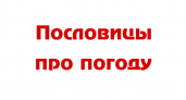 Пословицы про погоду: 50 самых известных поговорок ✍