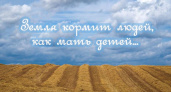 Пословицы про землю русскую 🥝 50 самых известных поговорок