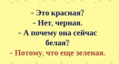 Загадки на смекалку 🥝 40 самых лучших головоломок на русском