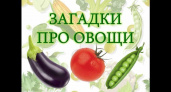 Загадки про овощи 🥝 40 самых лучших головоломок на русском