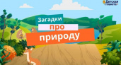 Загадки про природу 🥝 40 самых лучших головоломок на русском