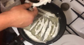 Как научиться готовить вкусную жареную мойву по пошаговому рецепту
