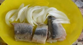 Вкусная соленая сельдь в домашних условиях