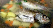 Уха из карася - сытный наваристый рыбный суп