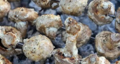 Шашлык из шампиньонов - рецепт приготовления грибов на мангале 🍄