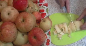 Заготовка для пирогов из яблок на зиму 🍎