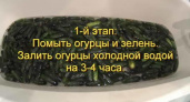 Засолка огурцов холодным способом на зиму🥒