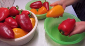 Простой и вкусный рецепт перца в масле на зиму🌶
