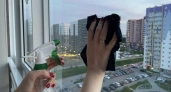 Средство, которое есть у каждого в доме: отмыла все окна, стекла, зеркала до блеска и без разводов
