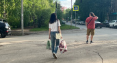 Китайский гороскоп на июль 2025: неожиданные перемены и важные советы для каждого знака восточного календаря