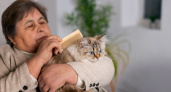 Жизнь после 55 лет: не экономим на себе, избавляемся от домашнего хлама — и ценим каждый миг