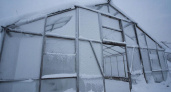 Как же подготовить теплицу к посадке весной: подробная инструкция