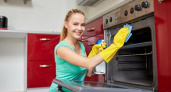 Чем отмыть духовку от старого пригоревшего жира: универсальные средства, советы для газовых и электроприборов