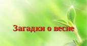 Загадки про весну 🥝 40 самых лучших головоломок на русском