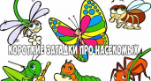 Загадки про насекомых 🥝 40 самых лучших головоломок на русском