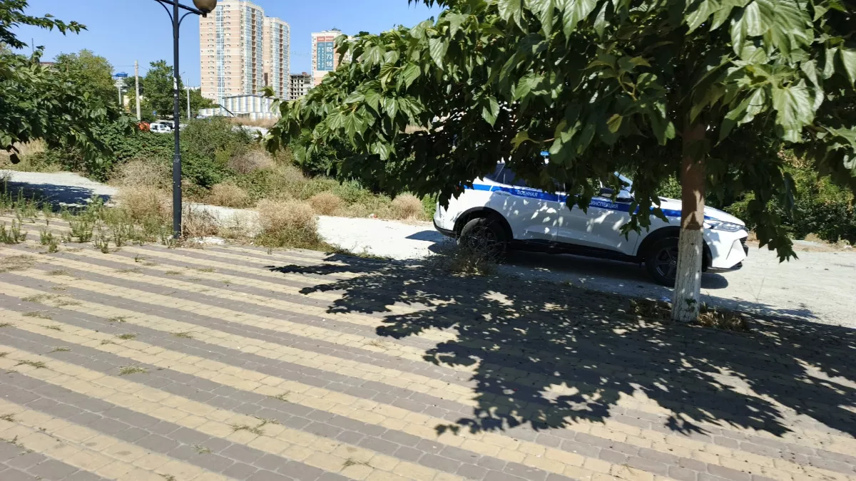 Какие 5 требований инспектора ГАИ водитель не должен выполнять и как законно отказать инспектору: ответ юриста