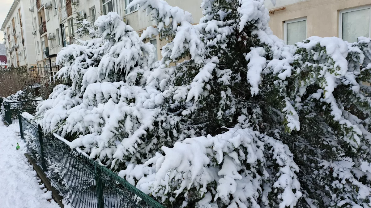 Столетие спустя: в Казани зафиксирован самый морозный день с начала XX века