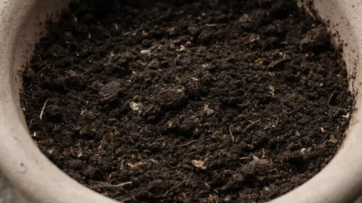 Рай для корней: что же добавить в грунт, чтобы он оставался рыхлым до самой высадки