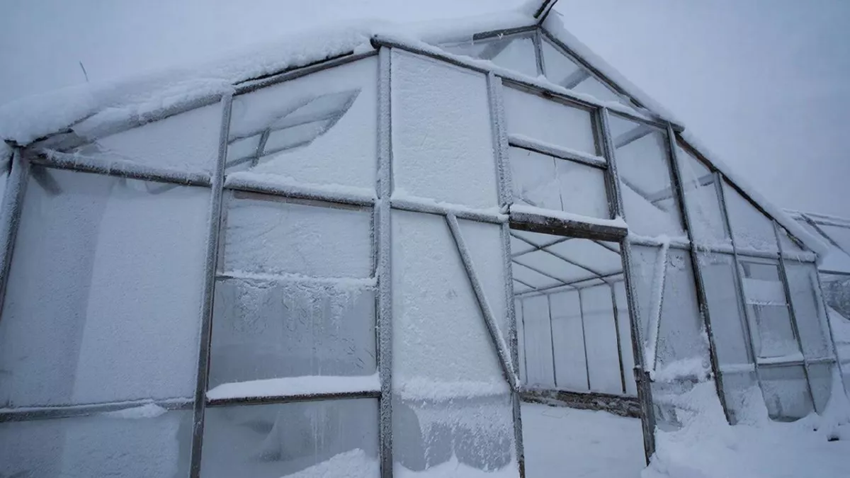 Как же подготовить теплицу к посадке весной: подробная инструкция