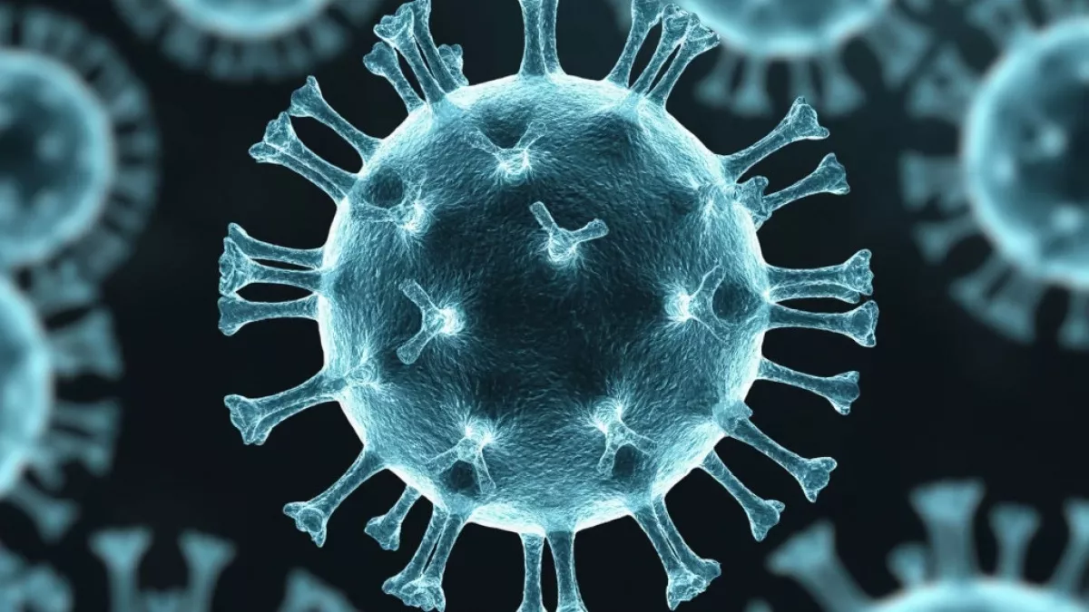 Врач Сурадж Кукадиа рассказал о потенциальном возбудителе следующей пандемии