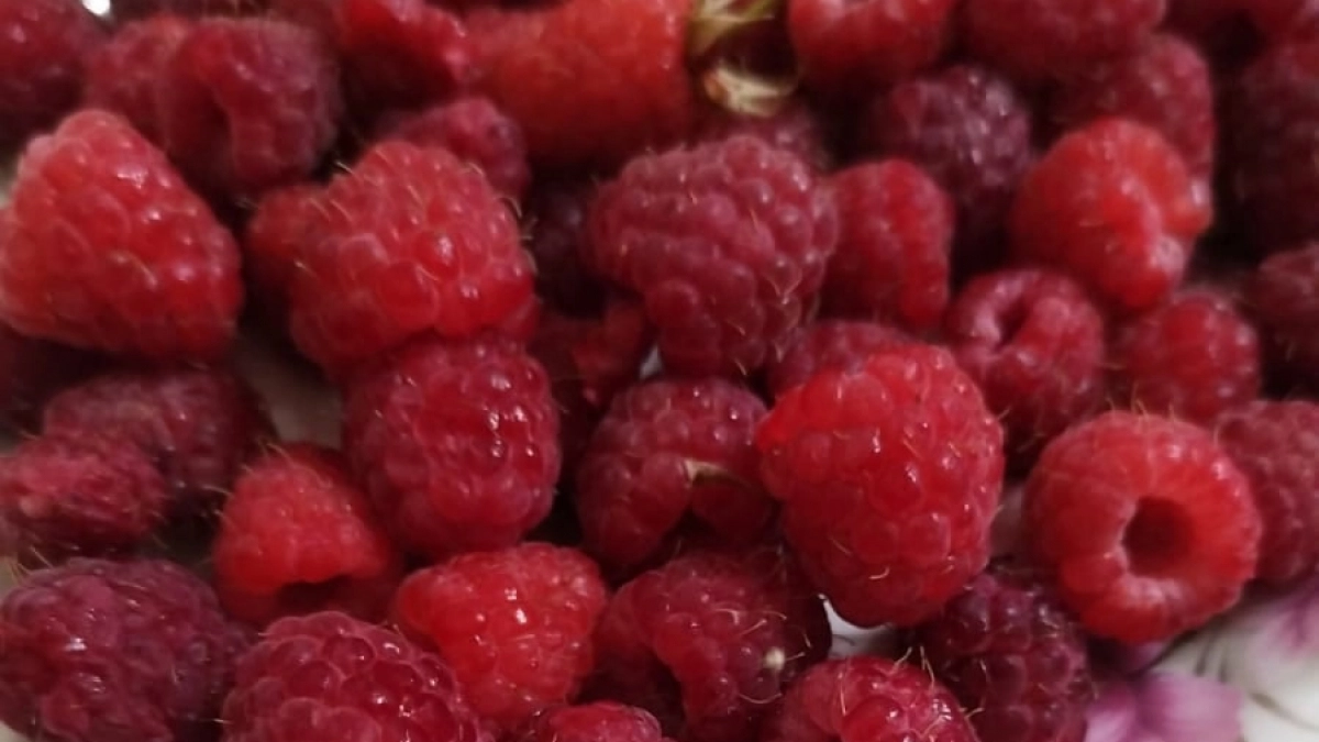 Дачники, лью не просто воду, а "сладкое" удобрение - и в июле малину взрывает крупными и сладкими ягодами