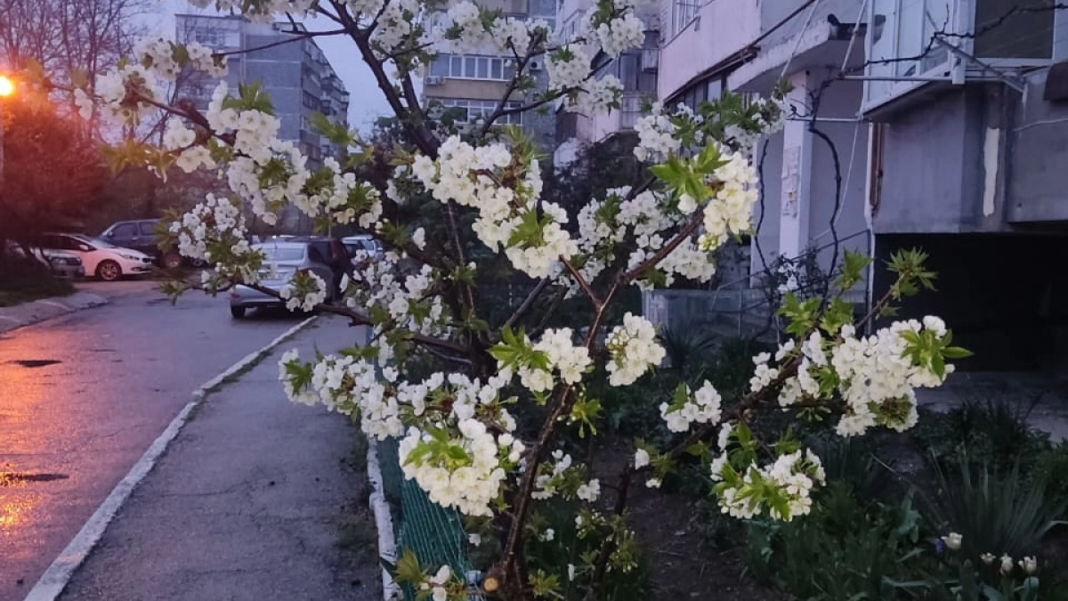 Гидрометцентр предупредил об аномальной погоде в нескольких регионах России