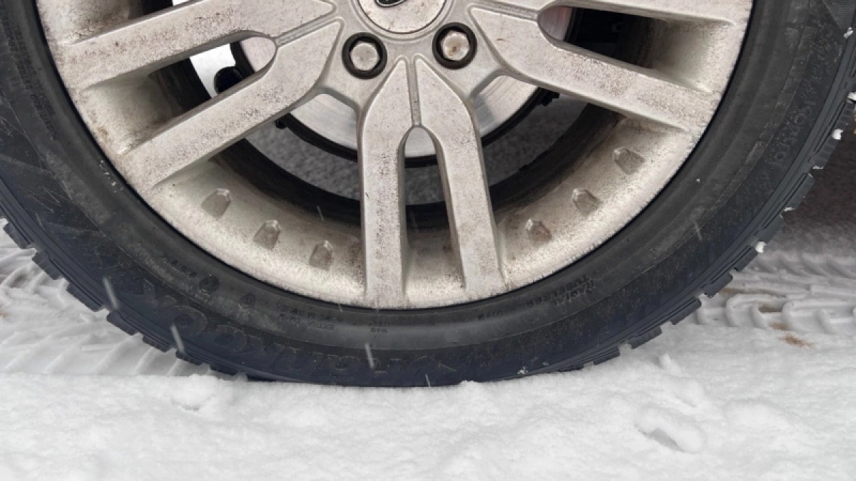 Юрист Карина Асанова предупредила о наказании за езду на неправильных шинах