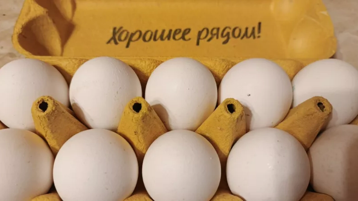 Никогда не покупайте яйца категории СО: почему работники птицефабрик избегают их — запомните раз и навсегда