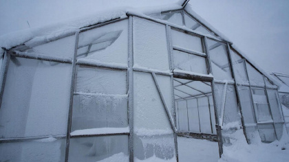 Как же подготовить теплицу к посадке весной: подробная инструкция