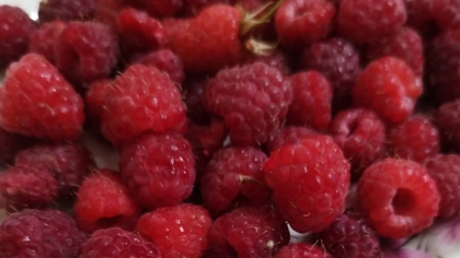 Дачники, лью не просто воду, а "сладкое" удобрение - и в июле малину взрывает крупными и сладкими ягодами